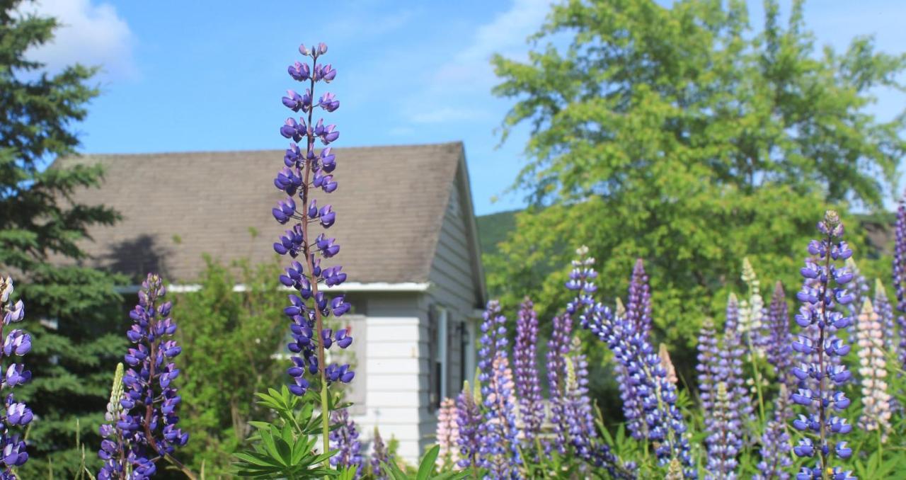 Chanterelle Inn & Cottages Baddeck Inlet Exterior foto